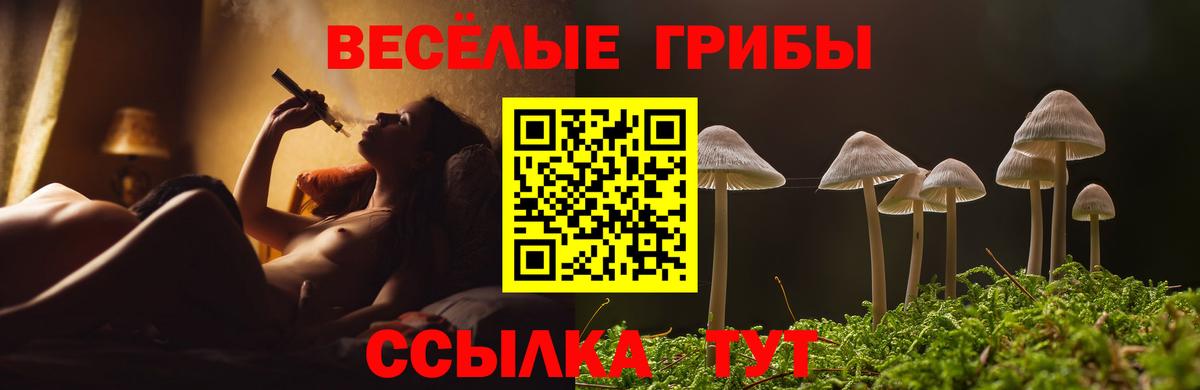 Псилоцибиновые грибы мицелий Красноярск