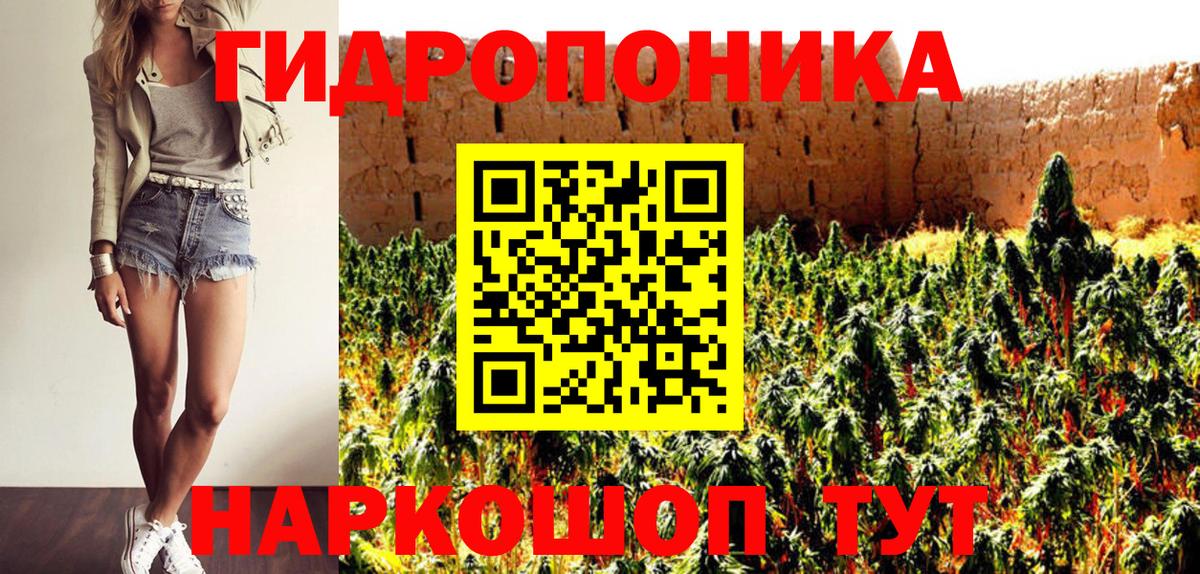 Конопля конопля Красноярск